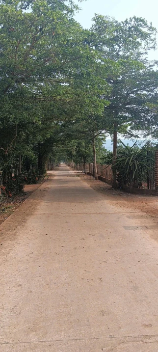 Bán lô đất 450m Đăk Đoa, Gia Lai khu dân cư đông đúc, 300m đến đường Quốc lộ 19B - Ảnh thu nhỏ 4