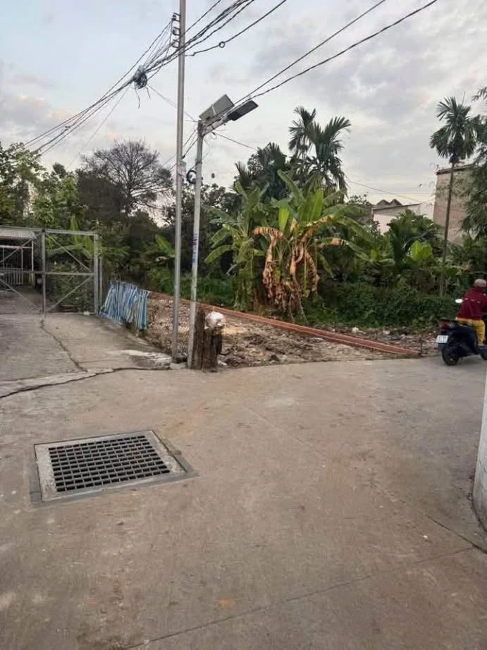 Bán đất 90m² đường Bình Nhâm 31, Thuận An, Bình Dương, giá 2,75 tỷ - Ảnh thu nhỏ 4