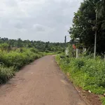 Bán nhà vườn 884m² view ao suối, Eakao, Đắk Lắk - Ảnh thu nhỏ 1