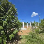 Bán vườn trái cây giáp Suối Lớn - có sẵn thổ cư - mặt tiền bê tông - Khu dân cư - Ảnh thu nhỏ 17
