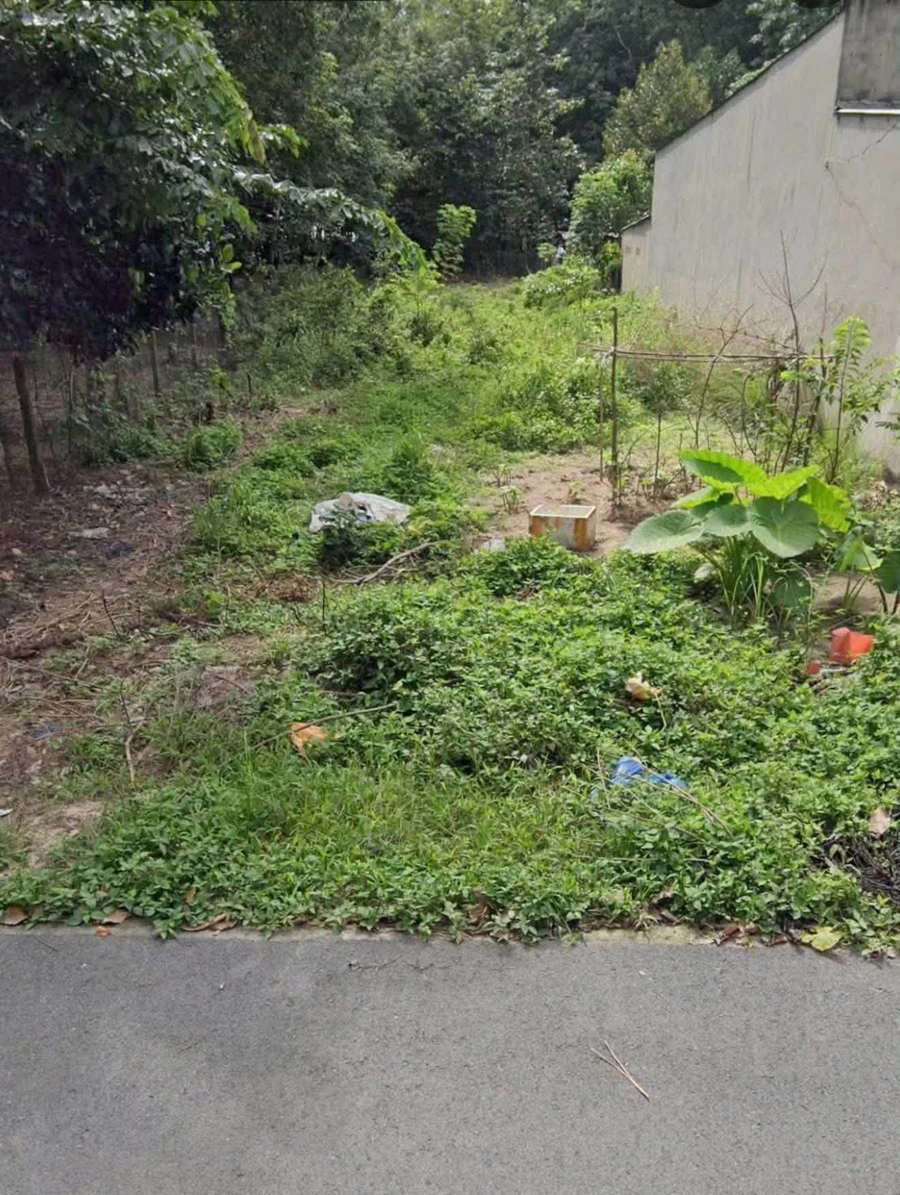 Bán lô đất 610m² gần vòng xoay An Điền, Bình Chánh 3 tỷ 5 - Ảnh 1