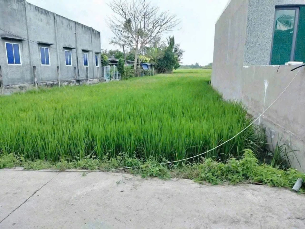 Bán đất 885m² mặt tiền hẻm Tân An Long An - Ảnh thu nhỏ 3