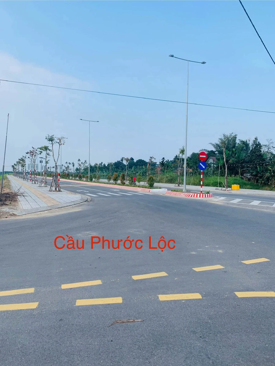 Bán vườn cau Cần Giờ 2000m2, 1 tỷ, sát cầu Phước Lộc - Ảnh thu nhỏ 3