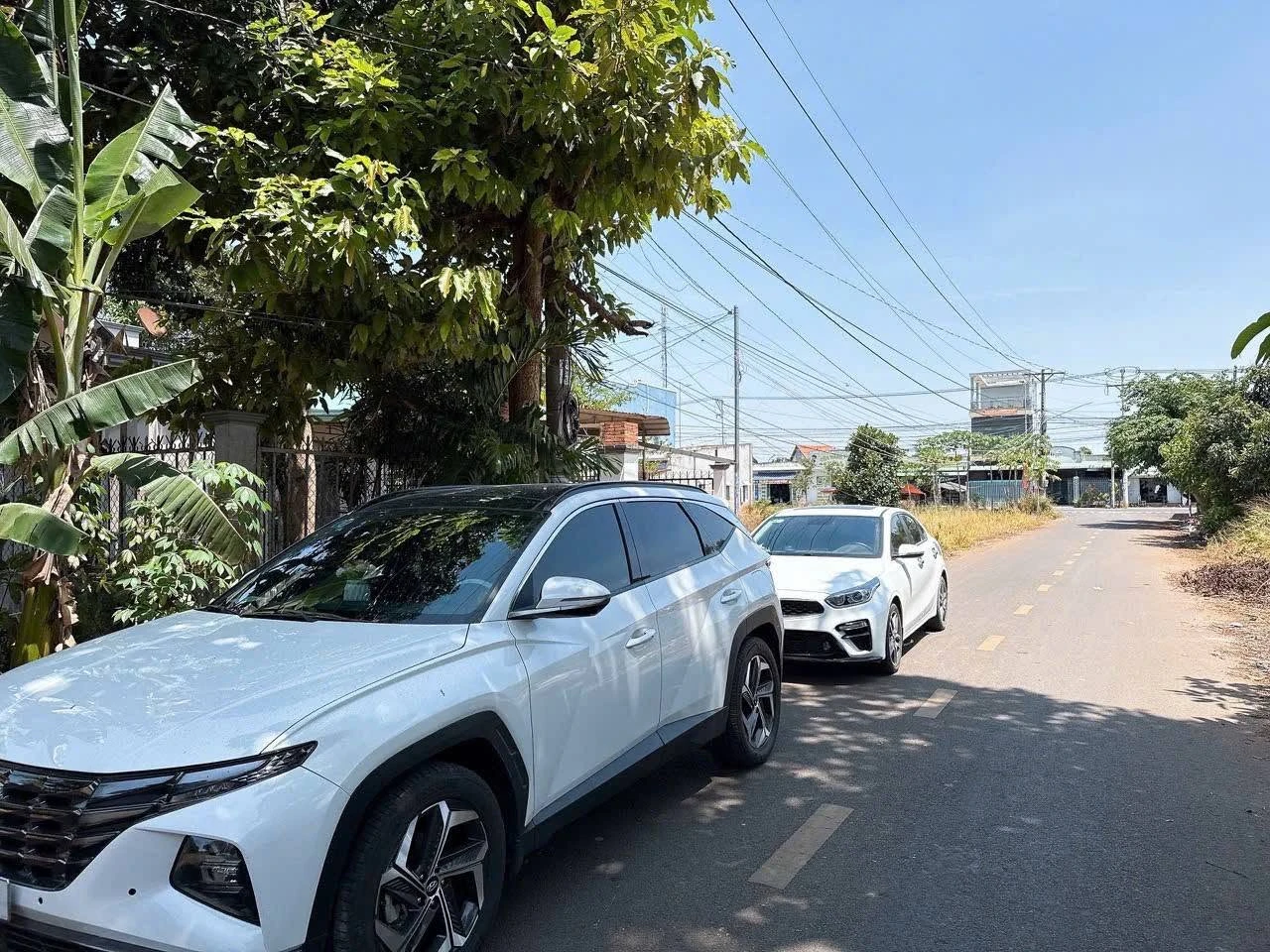 Bán nhà vườn 100m2 2PN Bà Rịa, giá 4 tỷ - Ảnh 1