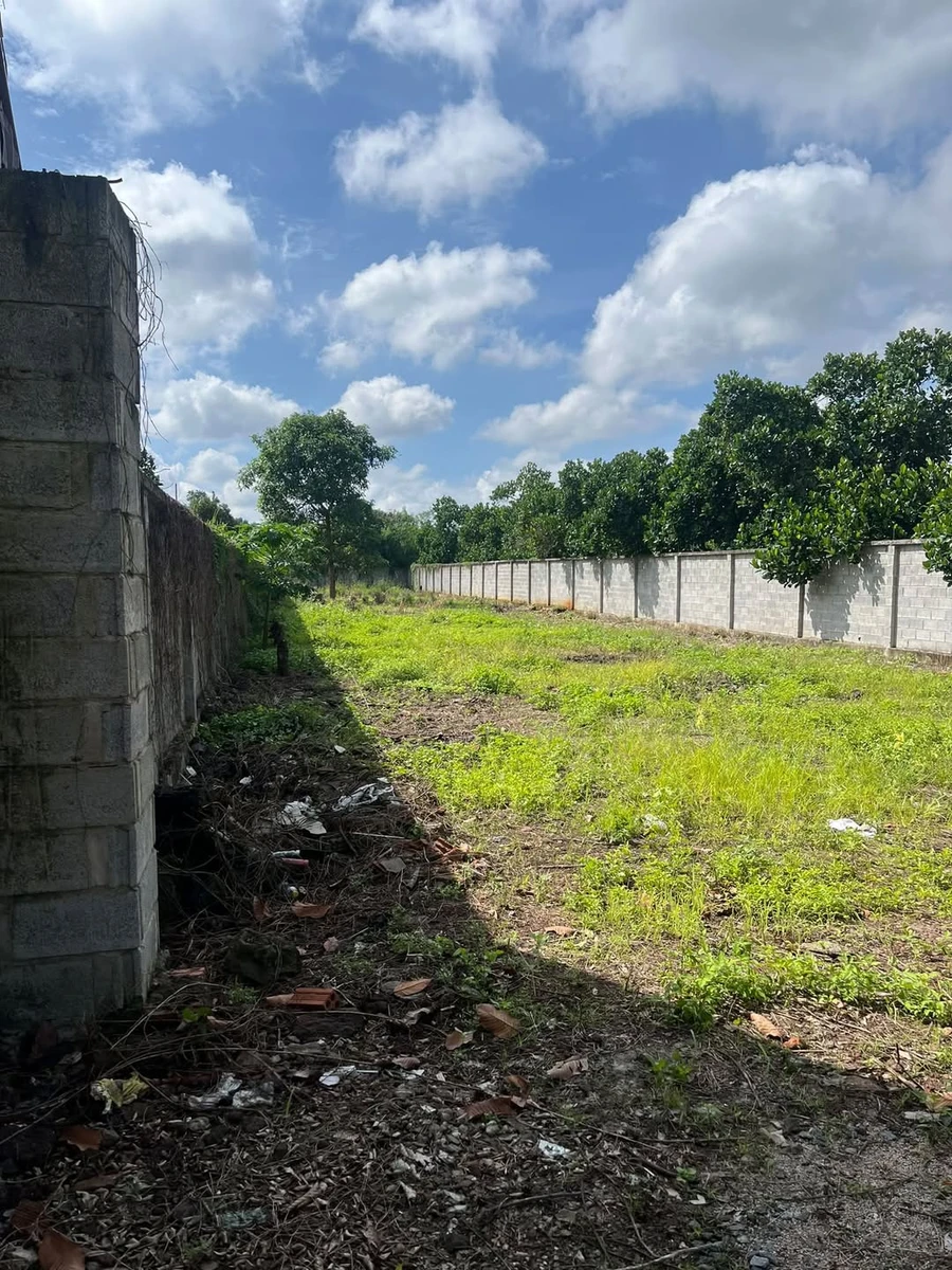 Bán đất 10x30m (300m²) tại Suối Chồn 680 triệu - Ảnh 1