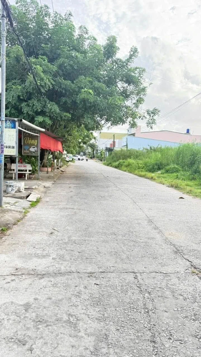 Bán đất mặt tiền Từ Dũ An Giang 120m2 1 tỷ 650 triệu - Ảnh thu nhỏ 2