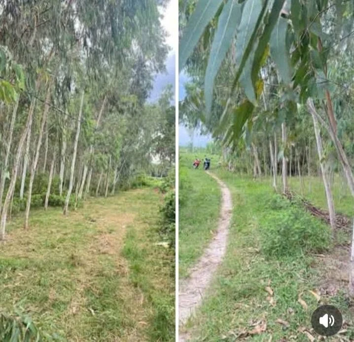 Bán lô đất 1968m2 có 200m2 thổ cư tại thôn Đại Khoang, xã Hội Sơn, giá 700 triệu - Ảnh thu nhỏ 2