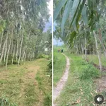 Bán lô đất 1968m2 có 200m2 thổ cư tại thôn Đại Khoang, xã Hội Sơn, giá 700 triệu - Ảnh thu nhỏ 2