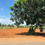 Bán đất mặt tiền 722m2 Cách Mạng Tháng Tám, Đất Đỏ, Bà Rịa - Vũng Tàu - Ảnh thu nhỏ 1