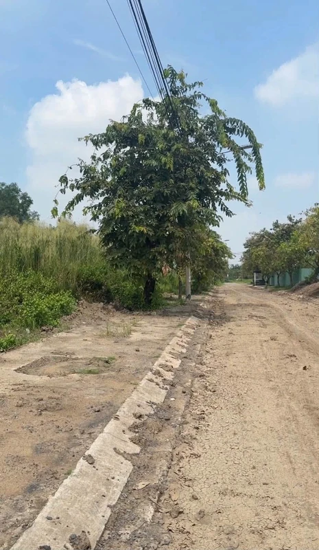 Bán đất 100m2 mặt tiền Phước Đông cắt lỗ 800tr