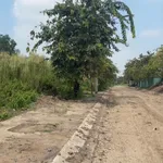Bán đất 100m2 mặt tiền Phước Đông cắt lỗ 800tr - Ảnh thu nhỏ 1