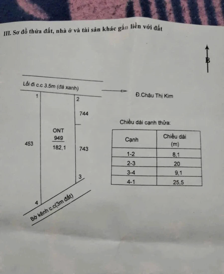 Bán đất hẻm ô tô Châu Thị Kim 182,1 m² Tân An Long An - Ảnh thu nhỏ 4