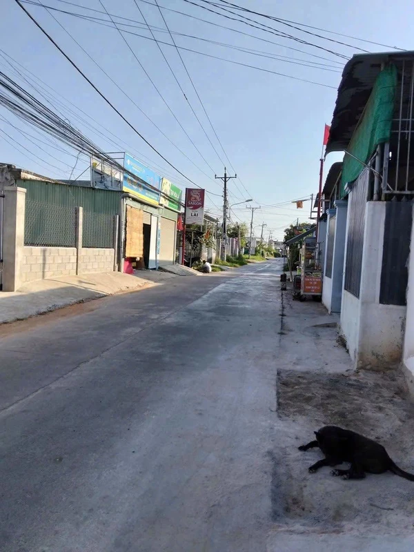 Bán đất Tiến Hòa, Phan Thiết, 145,3m², 1 tỷ