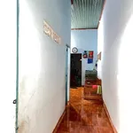 Bán nhà cấp 4 100m² Thành Nhất Thủ Đức 1.29 tỷ - Ảnh thu nhỏ 4