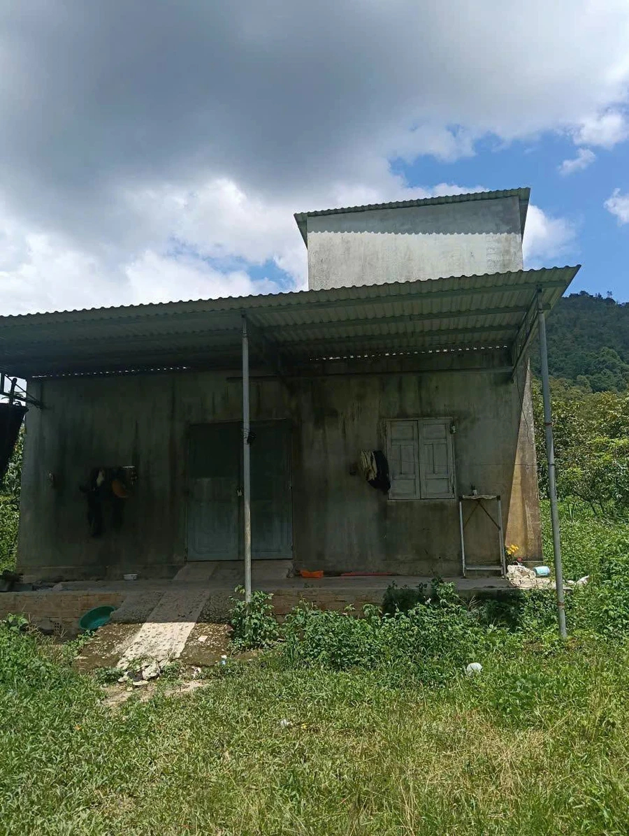 Bán đất 2.7 ha sầu riêng Gia Lai giá 2 tỷ 6 - Ảnh thu nhỏ 3