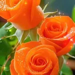 Bán đất mặt tiền 58m2 đường 16m khu Nhơn Phú, Quy Nhơn - Ảnh thu nhỏ 3
