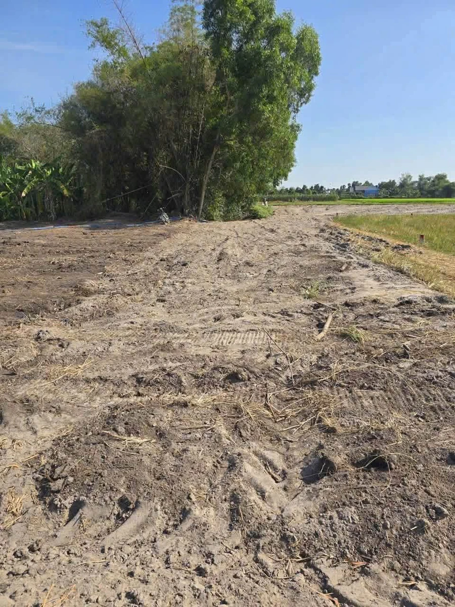 Bán đất sạch Hòa Khánh Đông 135m² sổ riêng 550 triệu - Ảnh thu nhỏ 3