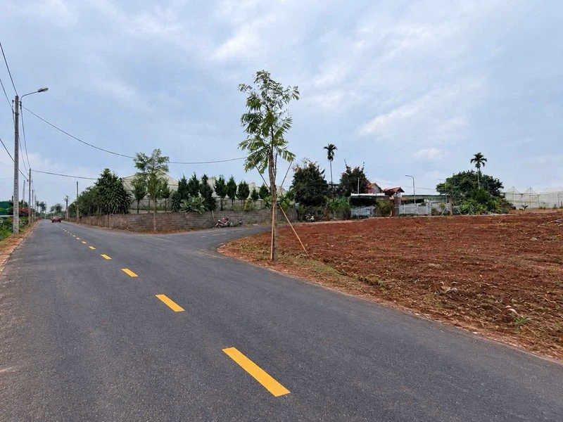 Bán đất Tân Hà Bình Dương 100m², 650 triệu