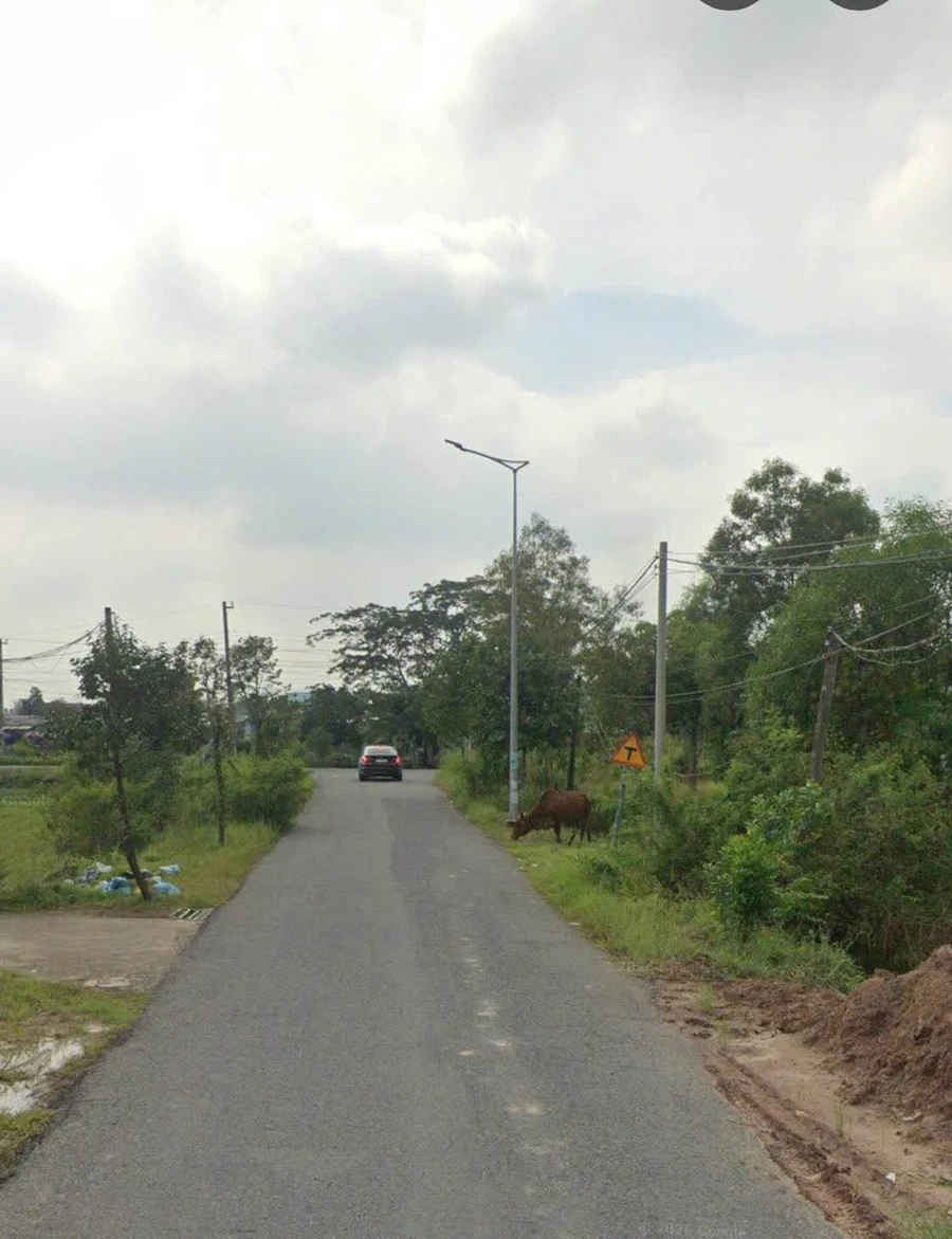Bán 1.000m2 đất mặt tiền đường 3/2, Hậu Nghĩa, Đức Hòa, Long An, giá 6 tỷ - Ảnh thu nhỏ 2