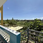 Nhà đẹp phong cách Indochine view đồi chè Tâm Châu - Phường 2 Bảo Lộc, đang khai thác kinh doanh - Ảnh thu nhỏ 8