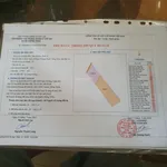 Bán đất 772 ấp Hưng Hòa Đông, 12 tỷ VND, 5200 m2, giá siêu hời - Ảnh thu nhỏ 1
