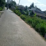 Đất 442,6 m2 ven sông và lộ nhựa cách cầu Cần Thơ tầm 3km giá 1 tỷ 800 - Ảnh thu nhỏ 7