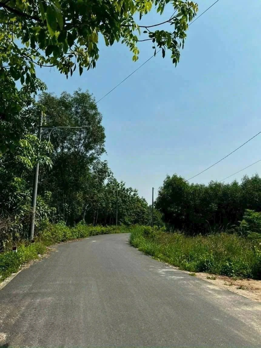Bán đất thổ cư 10x42 đường Phú An 024, Phú An, Bến Cát giá 3 tỷ - Ảnh thu nhỏ 2