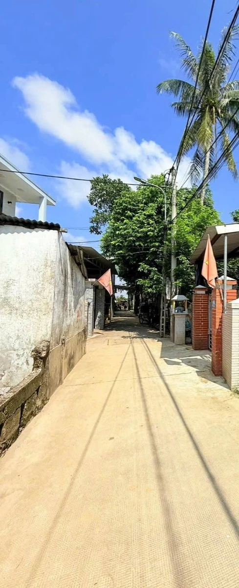 Bán đất kiệt ô tô 100m2 Chi Lăng, Phú Hậu, Huế - 1,1 tỷ - Ảnh thu nhỏ 4