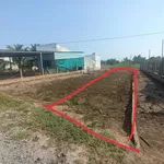 Bán đất Ấp 2 Hữu Thạnh Đức Hoà 6x35m mặt tiền đường bê tông - Ảnh thu nhỏ 1