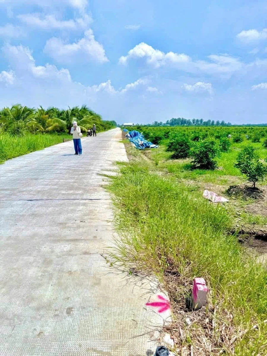 Bán đất vườn Thạnh Hòa 500-750m², 560-690 triệu, Long An - Ảnh thu nhỏ 3