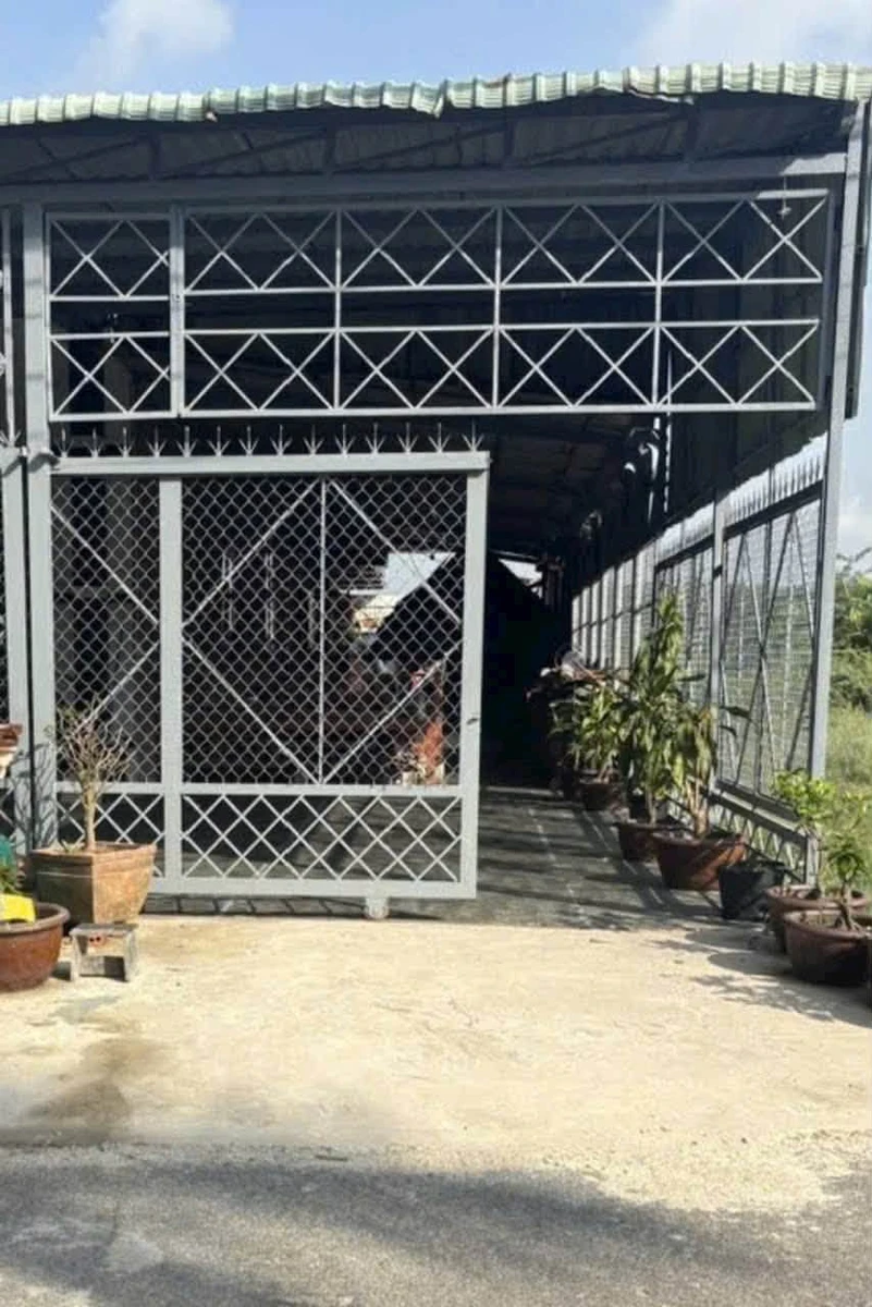 Bán đất 5x37m có 100m2 thổ cư tặng nhà tiền chế đường Phim Trường, Phú An - Ảnh thu nhỏ 4