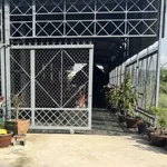 Bán đất 5x37m có 100m2 thổ cư tặng nhà tiền chế đường Phim Trường, Phú An - Ảnh thu nhỏ 4