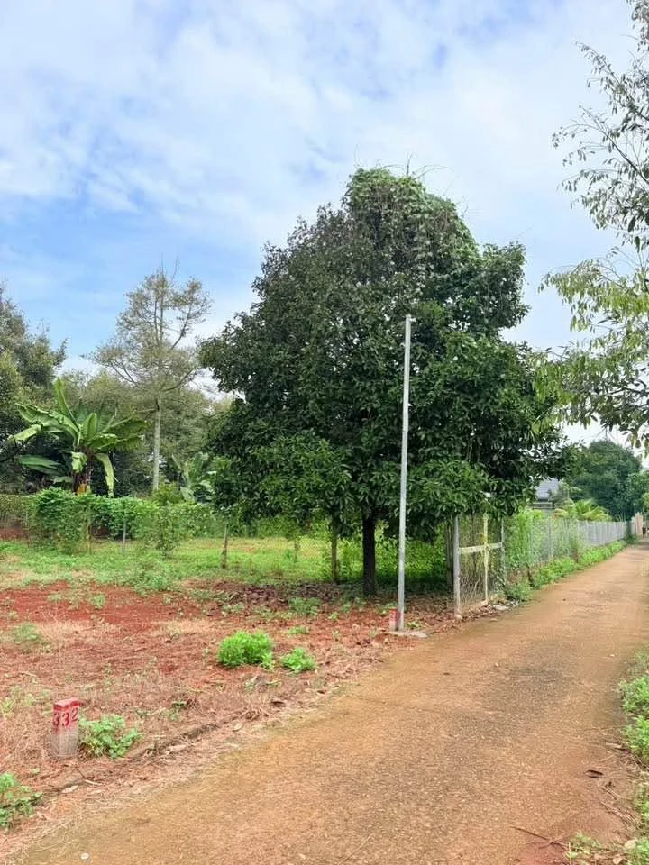 Bán đất full thổ cư Hàng Gòn 100m² – 610 triệu - Ảnh thu nhỏ 2