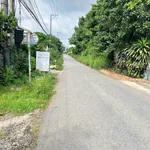 Bán lô đất thổ cư 5,5 x 38m đường nhựa gần ĐT744, Phú An, Bến Cát - Ảnh thu nhỏ 3