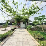 Bán đất vườn 1000m2 ngang 14m, Phú Giáo Bình Dương - Ảnh thu nhỏ 2