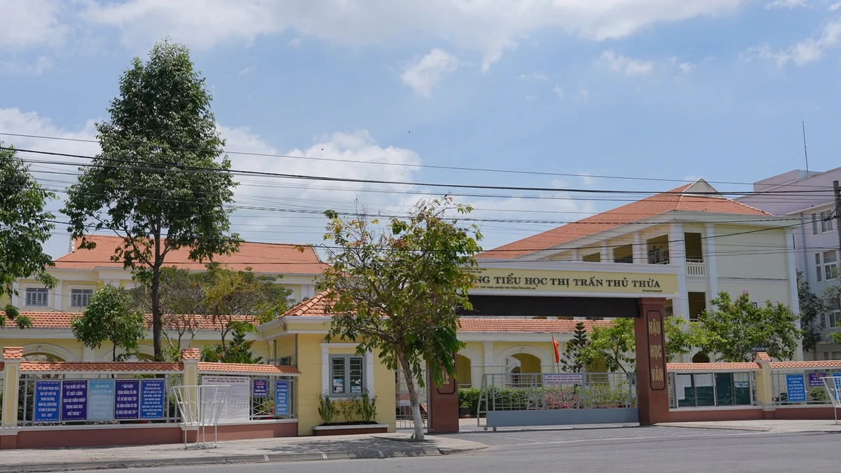 Bán lô đất 100m2 mặt tiền 15m Thủ Thừa 1 tỷ 150 - Ảnh 1