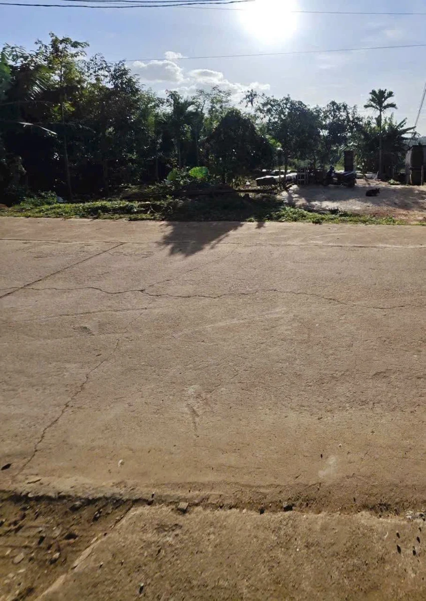 Bán đất mặt tiền đường 19/5 nối dài thôn 86, Ea Kao, 60m² thổ cư giá 599 triệu - Ảnh thu nhỏ 3