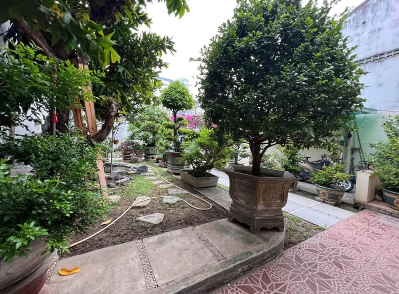 Biệt thự sân vườn đường Nhị Hà Nha Trang, 245m², 35 tỷ