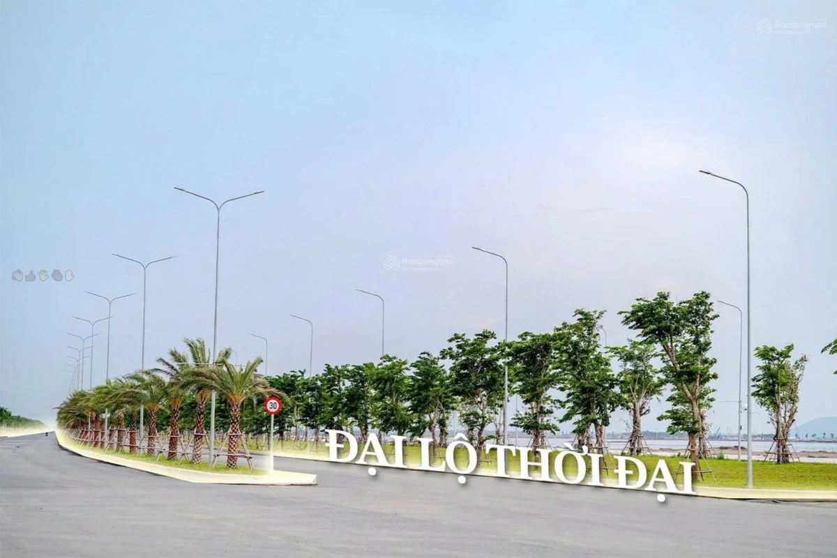 🌊 CƠ HỘI ĐẦU TƯ NHÀ PHỐ, BIỆT THỰ TẠI VINHOMES GREEN PARADISE - Ảnh 1