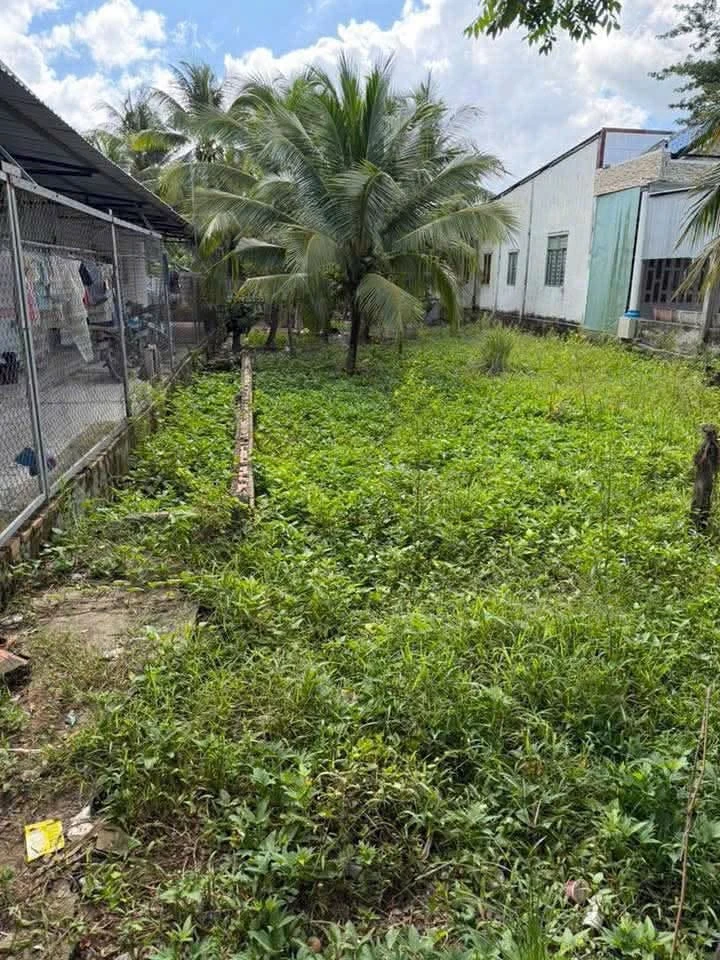 Bán nền mặt tiền Nguyễn Văn Quy Cần Thơ 153,8m2 - Ảnh thu nhỏ 3