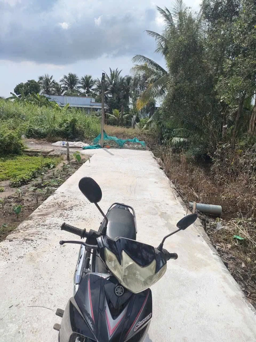 Bán 4 nền đất thổ cư 125m2 Lương Bình Tây Ninh - Ảnh thu nhỏ 4