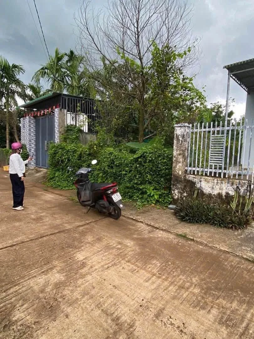 Bán đất Cao Thành 156m² gần chợ Ekao 1 tỷ 300 triệu - Ảnh thu nhỏ 3