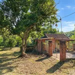Bán vườn sinh thái Ea Kao 3.866m² giá 8 tỷ - Ảnh thu nhỏ 2