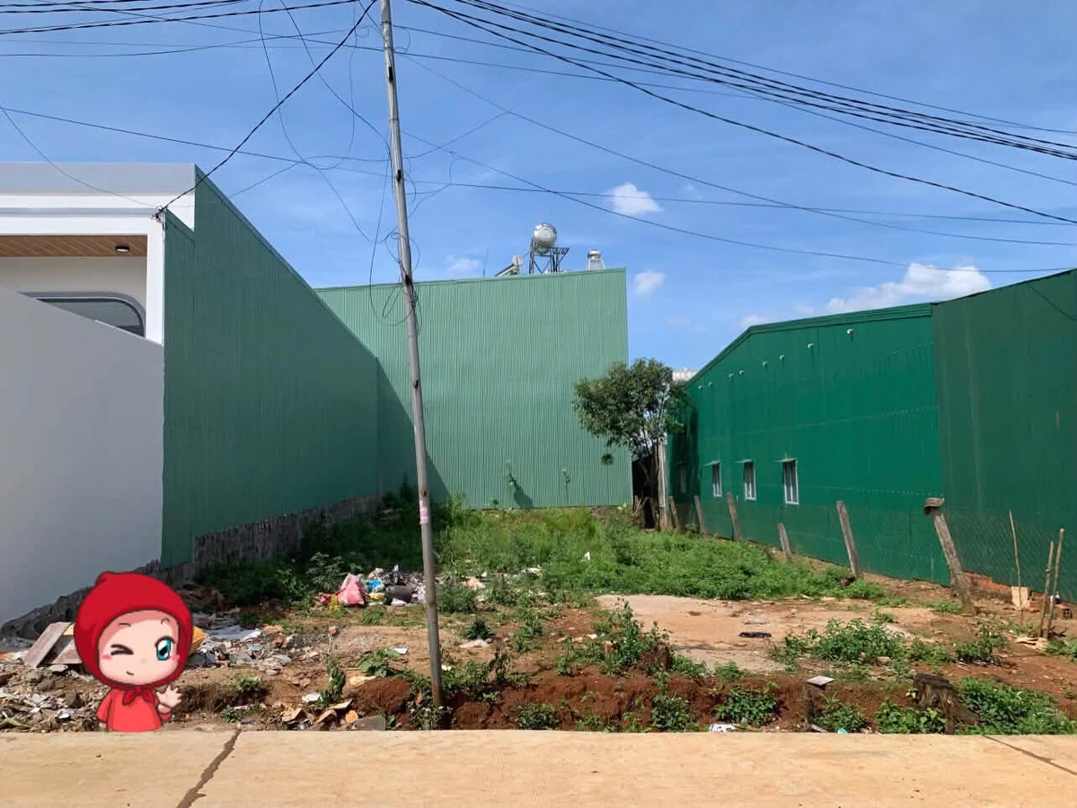 Bán đất thổ cư 120m² hẻm ô tô Pleiku Gia Lai - Ảnh thu nhỏ 2