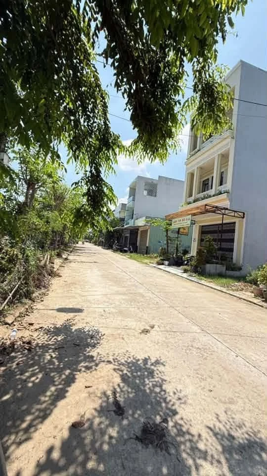 Bán lô đất mặt tiền 125m2 gần Đại Học Quang Trung, Bình Chánh - Ảnh thu nhỏ 3