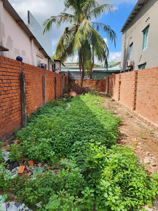 Bán đất Phú Lợi, Thủ Dầu Một, Bình Dương 103.5m²