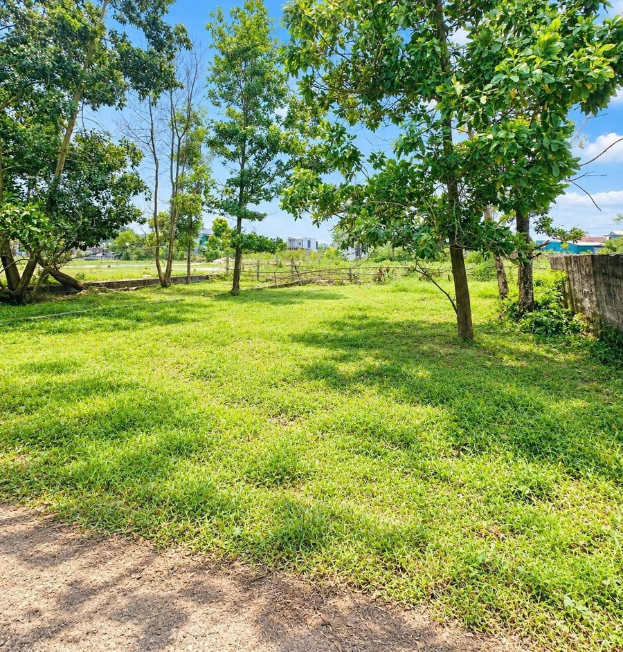 Bán nhà kiệt ô tô 98m² Tôn Thất Sơn, Huế 1,09 tỷ - Ảnh thu nhỏ 3