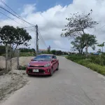 Bán đất Nam Thịnh Nam Cường, Thái Bình. Ô tô tránh, kinh doanh. Nhỉnh 1 tỷ. - Ảnh thu nhỏ 5