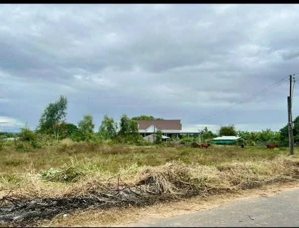 Bán đất thổ cư 183m2 mặt tiền đường nhựa tại Hàm Chính, Hàm Liêm, Lâm Đồng - Ảnh thu nhỏ 2
