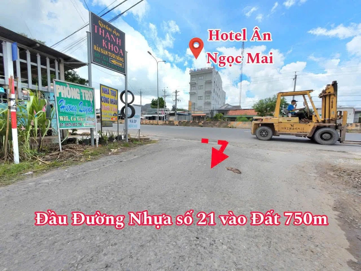 Bán đất nền Gò Dầu 252m² giá 1 tỷ 2 - Ảnh thu nhỏ 3